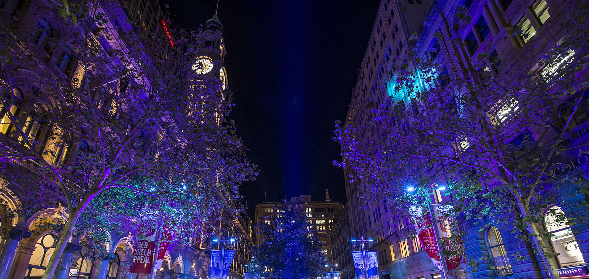 Martin Place Vivid