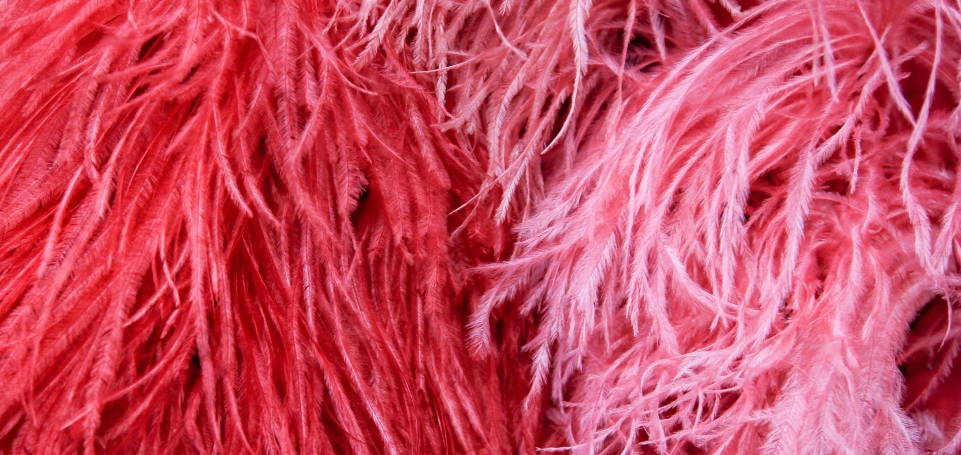 Dream Factory: Stagecraft